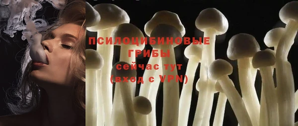 дурь Наволоки