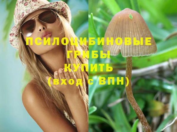 ECSTASY Новодвинск