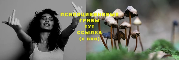 трава Нефтегорск