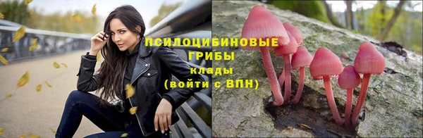стафф Надым