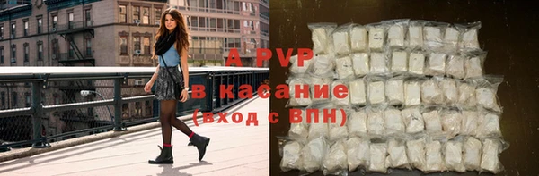 СК Новозыбков